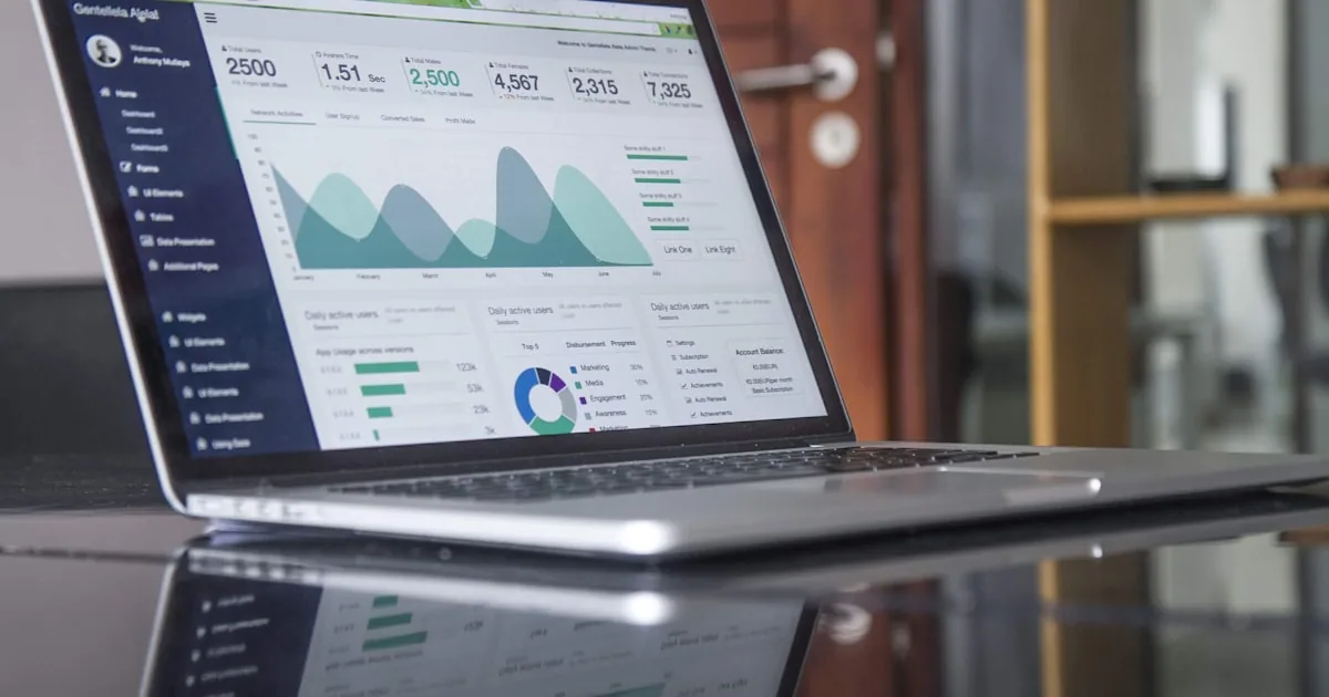 Business website analytics examined during an audit